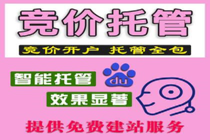 竞价推广SEM托管：助力企业抢占市场先机案例解析